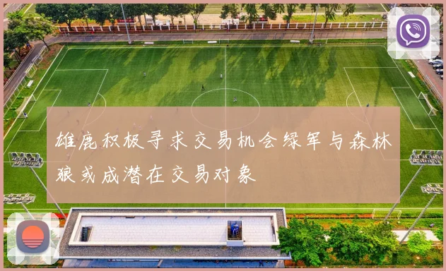 雄鹿积极寻求交易机会绿军与森林狼或成潜在交易对象