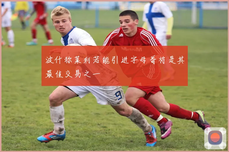 波什称莱利若能引进字母哥将是其最佳交易之一